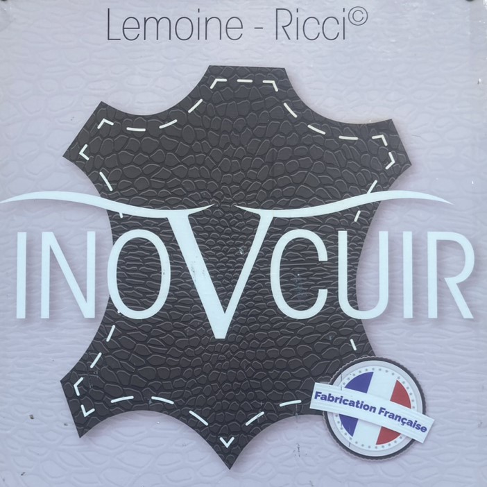 logo Inovcuir