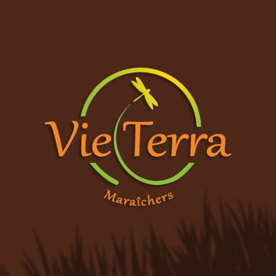 logo Vie Terra